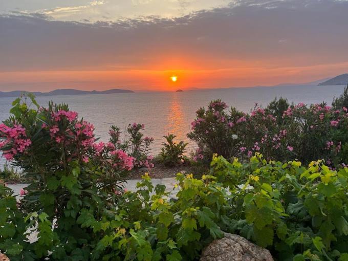 Patmos Garden Sea Daire Grikos Bay  Dış mekan fotoğraf