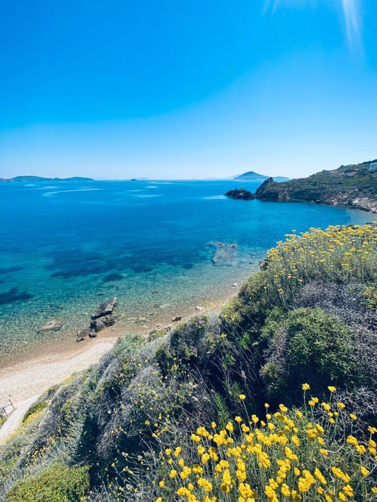 Patmos Garden Sea Daire Grikos Bay  Dış mekan fotoğraf