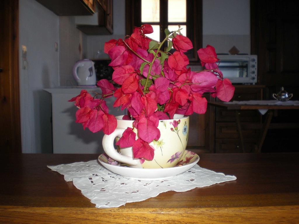 Patmos Garden Sea Daire Grikos Bay  Dış mekan fotoğraf